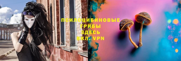 стаф Навашино