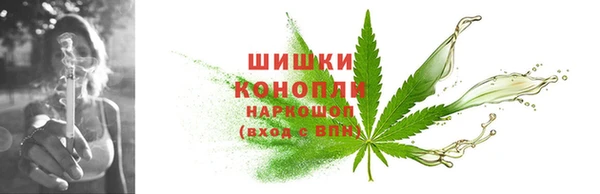 ПСИЛОЦИБИНОВЫЕ ГРИБЫ Наволоки