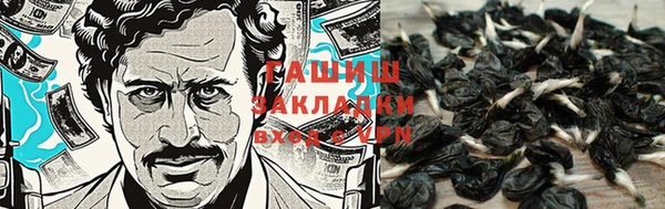 ПСИЛОЦИБИНОВЫЕ ГРИБЫ Наволоки