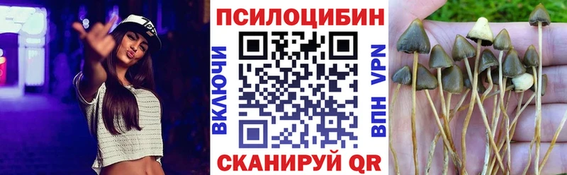 где купить наркотик  Чердынь  Галлюциногенные грибы MAGIC MUSHROOMS 